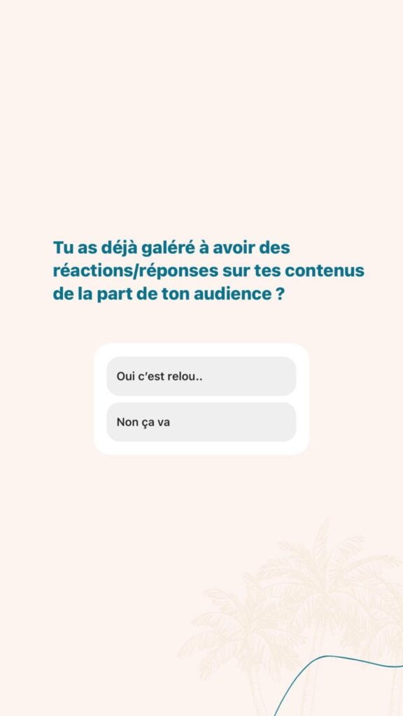 idée de story instagram conseil